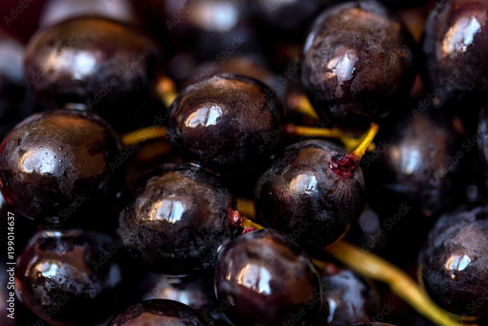 Red grapes with water drops, closeup background Red grapes with water drops, closeup background