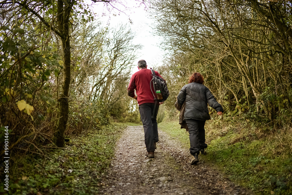 Fototapeta premium promenade en couple