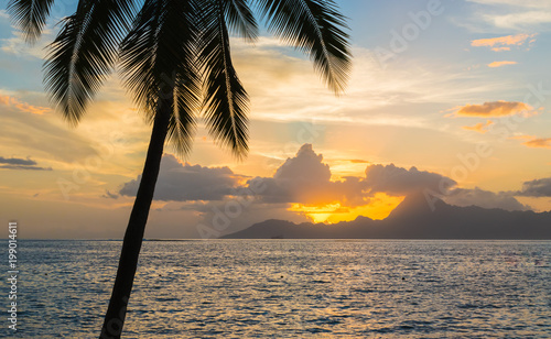 Silhouette of tropical palm tree at sunset. Moorea mountain in the background. Romantic summer vacation concept.