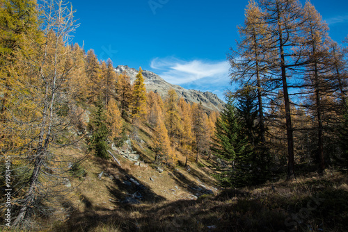 Lötschental im Herbst