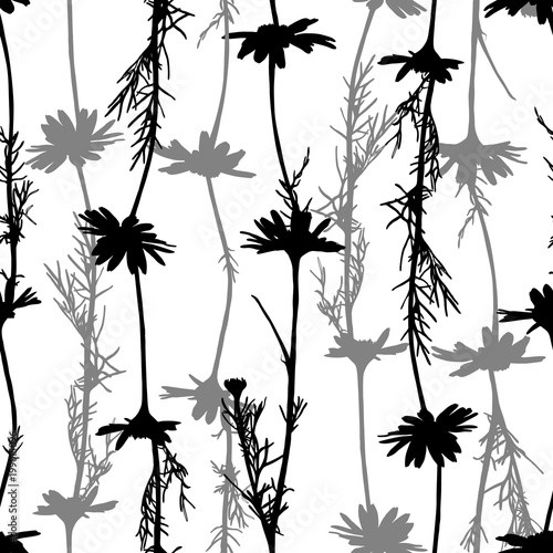 Fototapeta Naklejka Na Ścianę i Meble -  Floral seamless pattern with camomile silhouettes.