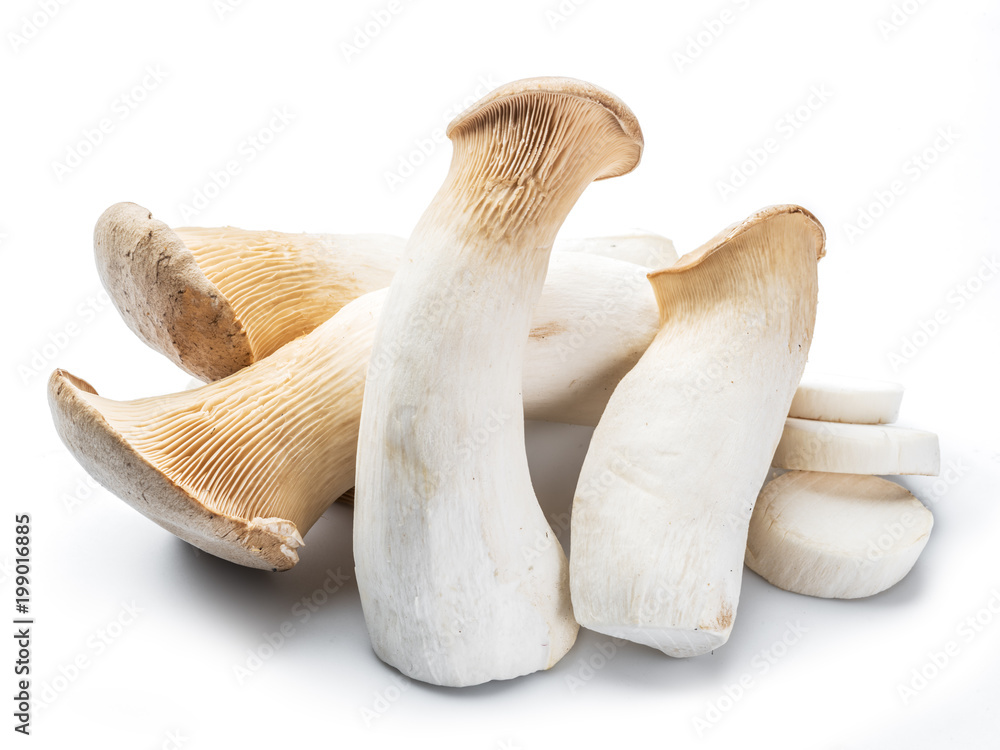 King oyster mushrooms on the white background. King oyster mushrooms on the white background.