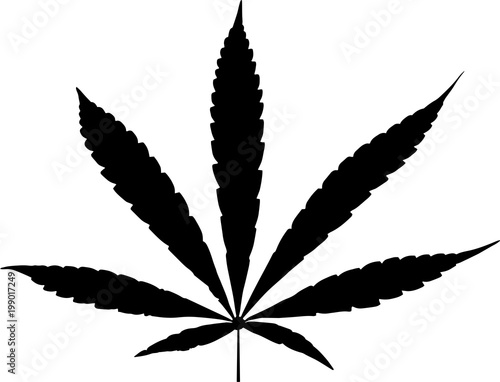  logo/icon of a cannabis.
