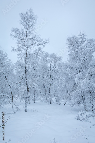 Nordhelle im Winter © srffotodesign