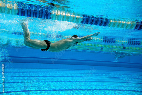 Swimmer in the swimming pool