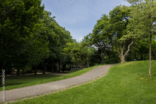  footpath in a park with green vegetation. Swiss city Basel.