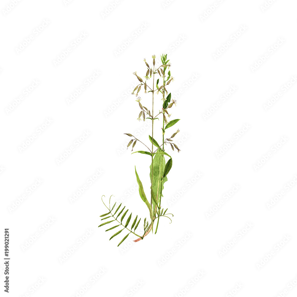 Fototapeta premium floral watercolor letter J