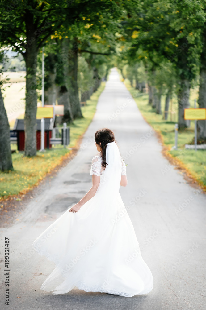 Bride Walks Down Road Alone. Rear view. Artwork. Bride Walks Down Road Alone. Rear view. Artwork.