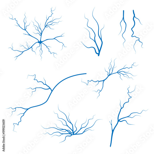 Veins icon set