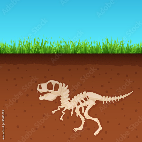 Skeleton of Tyrannosaurus Rex. Dinosaur bones in Earth. Fossil Ancient fearsome animal. Slice through soil. archaeological excavations. Prehistoric monster