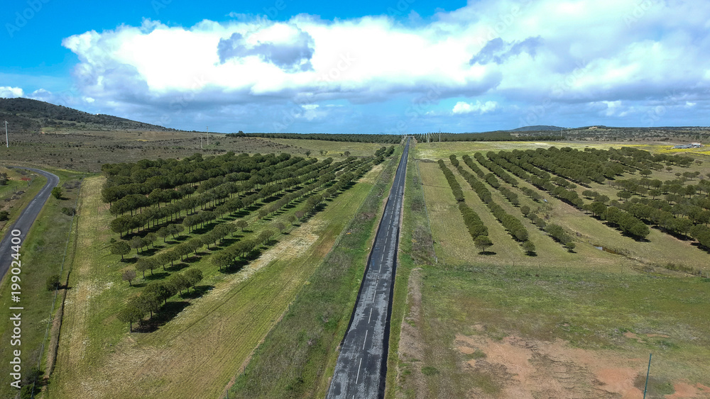 Naklejka premium aerial view of village road and harvest fields