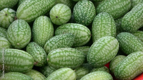 Rotating fresh mouse melons cucamelons food background photo
