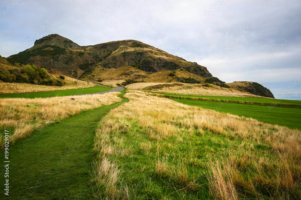 Green and yellow grass with Arthur's Seat in the background on overcast autumn day. Edinburgh, Scotland
