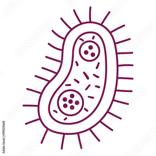 unicellular bacteria laboratory icon vector illustration design
