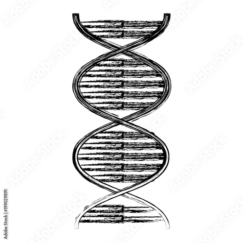 DNA molecule genetic icon vector illustration design