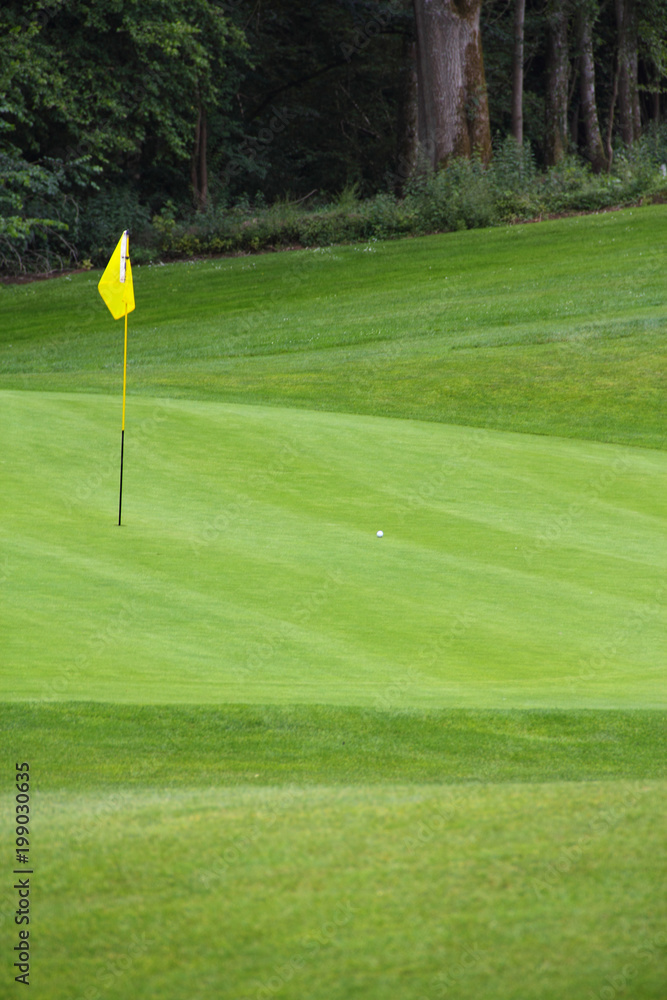 Obraz premium Golf flag on the green grass