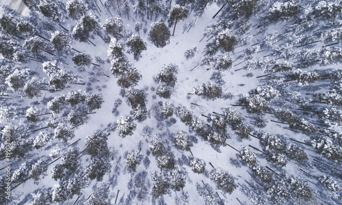 Aerial view of snow covered park. Vibrant evergreen trees and foot prints in the snow seen from above. Sun rise