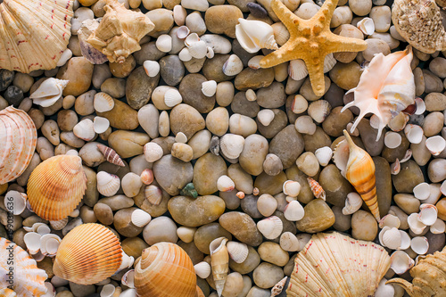 Seashells and pebbles background  natural seashore stones