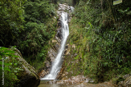 A waterfall in the tropical forest, near Medellin, Antioquia, Colombia
