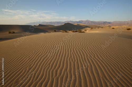 Death Valley Mesquite Flat Sand Dunes 