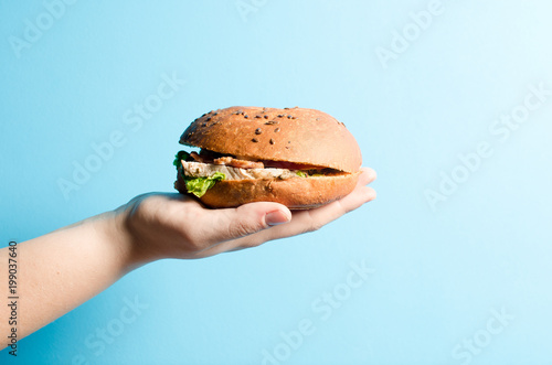 Burger. Concept of harmful nutrition.