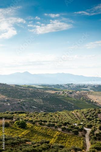 Agricultural field