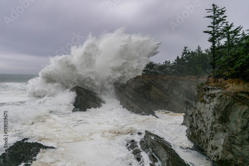 Shore Acres State Park, Oregon, USA photo