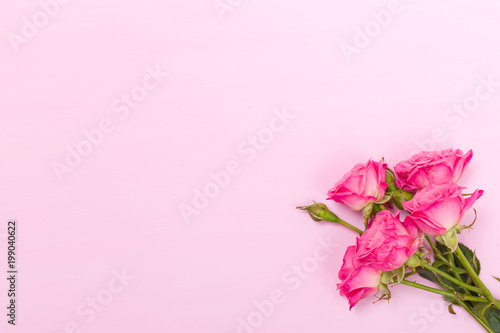 Wallpaper Mural Pink fresh rose branches and empty space for text isolated on pastel background. Torontodigital.ca