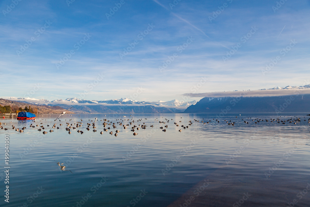Beautiful view of Lake Geneva with red boat, snowy mountains and birds on water, Lausanne, Switzerland