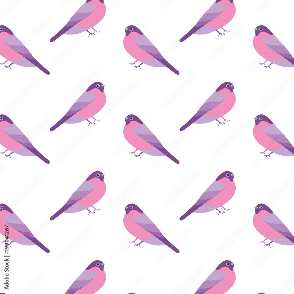 Fototapeta premium cute birds with beautiful plumage pattern vector illustration design