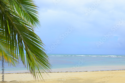 Caribbean sea and palm leaves. Travel background. © Swetlana Wall