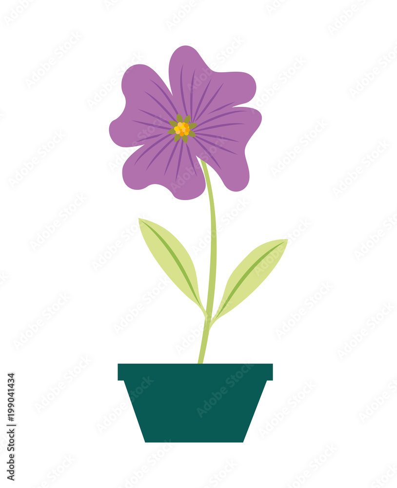 flower periwinkle in a pot decorative vector illustration design