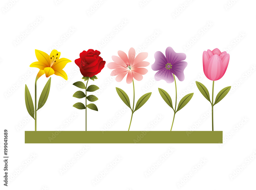 garden of cute flowers vector illustration design