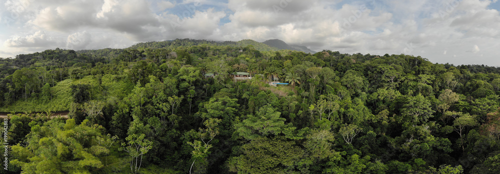 Urwald in Costa Rica