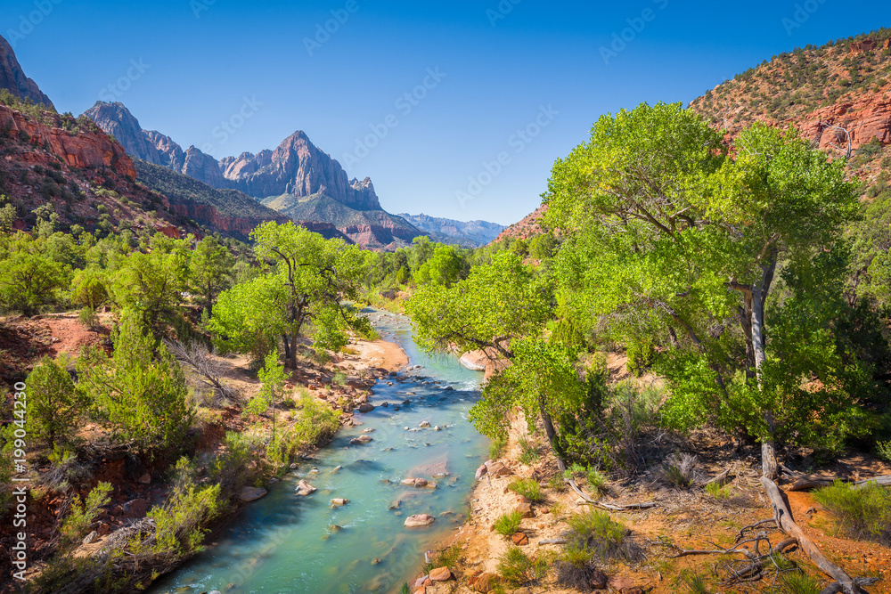 Zion National Park scenery with The Watchman peak and Virgin river in summer, Utah, USA