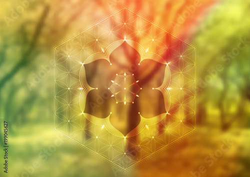 Vector template of banner, horizontal format; Spiritual sacred geometry; "Flower of life" and lotus on psychedelic natural forest photographic background; Yoga, meditation and relax.