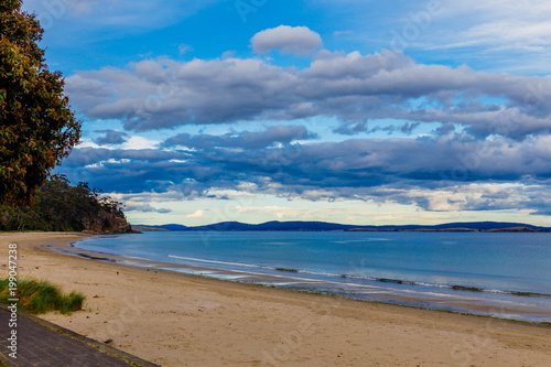 detail view of Tasmanian beach with golden sand and bush trees