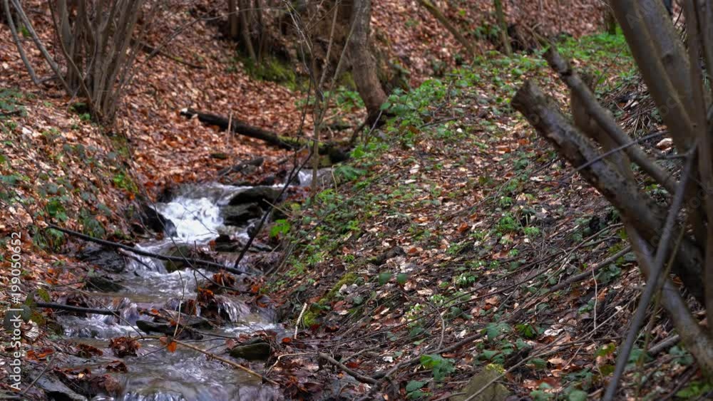 Man crosses the creek in the wood - (4K) Man crosses the creek in the wood - (4K)