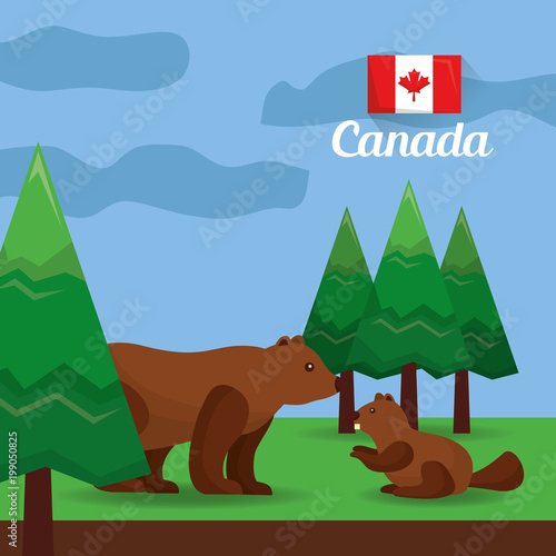 canada bear and beaver in the forest vector illustration