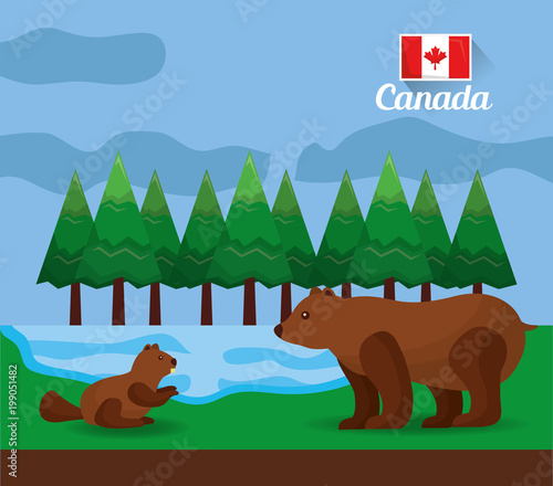 canadian bear and beaver in the forest lake vector illustration