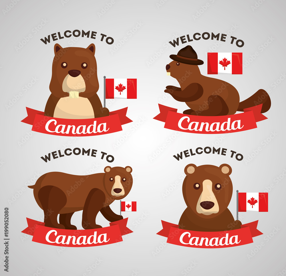 to canada grizzly bear and bear flag canadian labels vector illustration Stock Vector