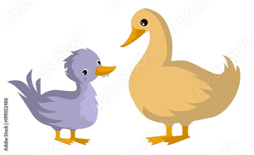 ugly duckling tale