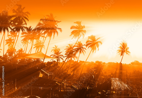 Fototapeta Naklejka Na Ścianę i Meble -  Dramatic light rays through the palm trees backdrop