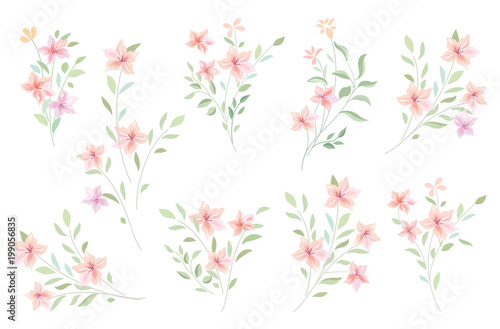 Floral bouquet set. Flowers and leaves garden background © Terriana