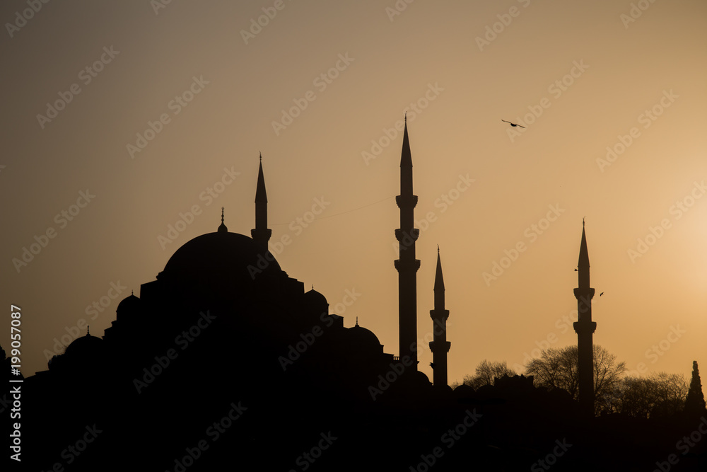 Silhouette by Ayasofya, Istanbul
