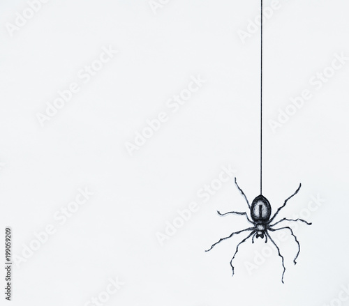 Billede på lærred Illustration-sketch of a black spider drawn in black china dangling isolated on