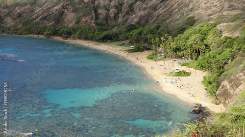 Scenic overview of sandy beach in Hanauma Bay  Oahu  Honolulu  HI  USA 