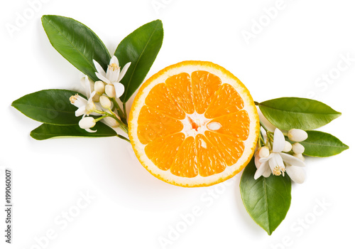 Orange fruit and flowers.