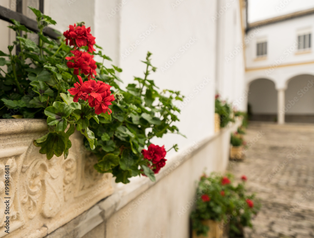 Red flowers in stone flowerpot in front of old courtyard Red flowers in stone flowerpot in front of old courtyard