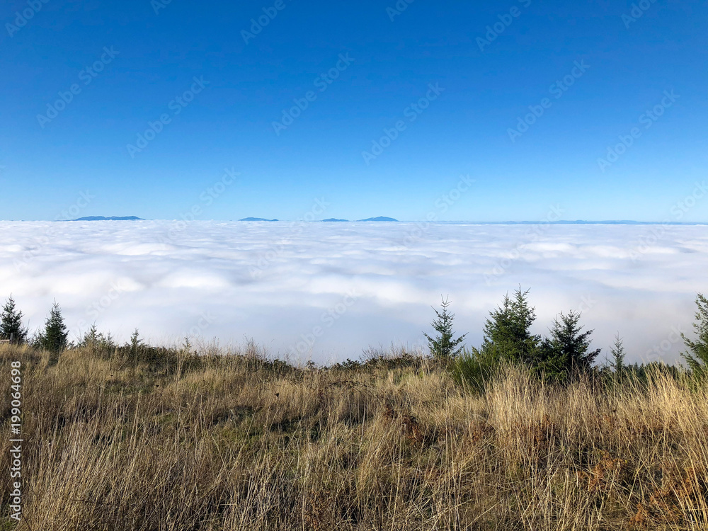 Above the Clouds Landscape